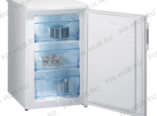 Холодильник Gorenje F4101W (236384, ZODS1026) - Фото